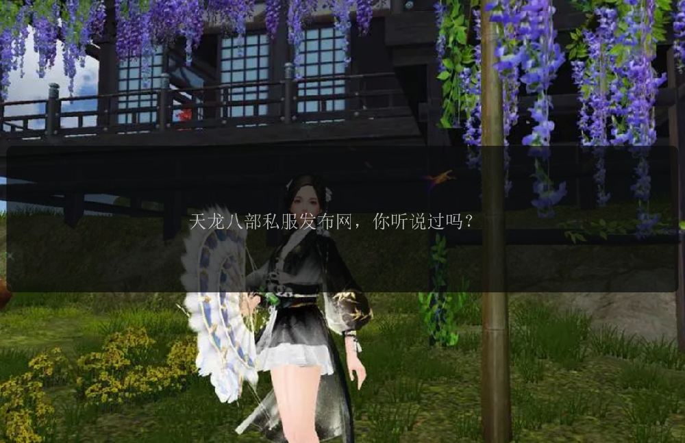 天龙八部私服发布网，你听说过吗？