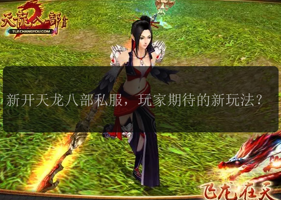新开天龙八部私服，玩家期待的新玩法？