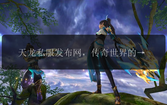天龙私服发布网，传奇世界的私服天堂？