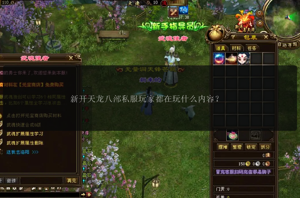 新开天龙八部私服玩家都在玩什么内容？